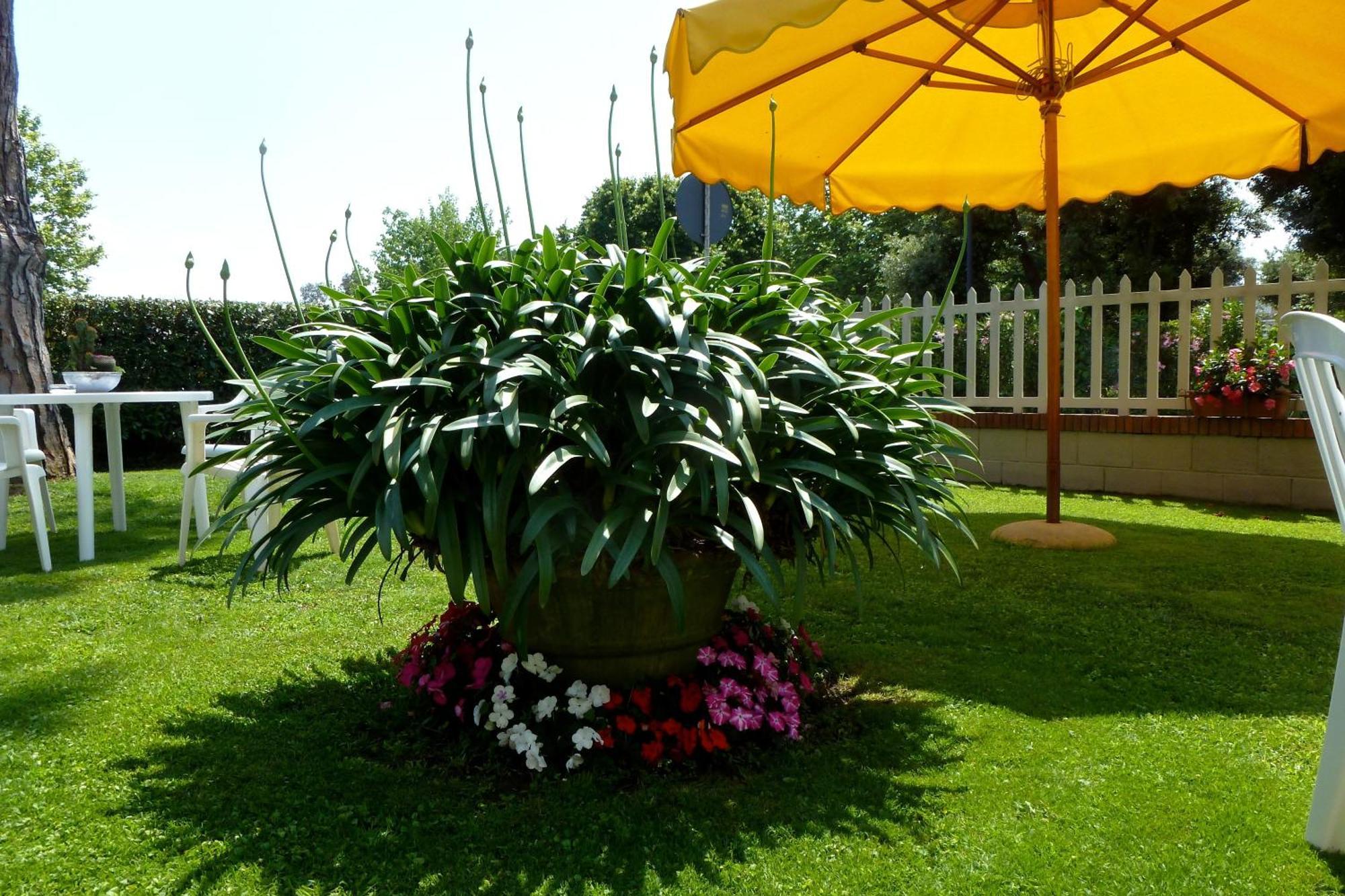Hotel Versilia Lido di Camaiore Dış mekan fotoğraf
