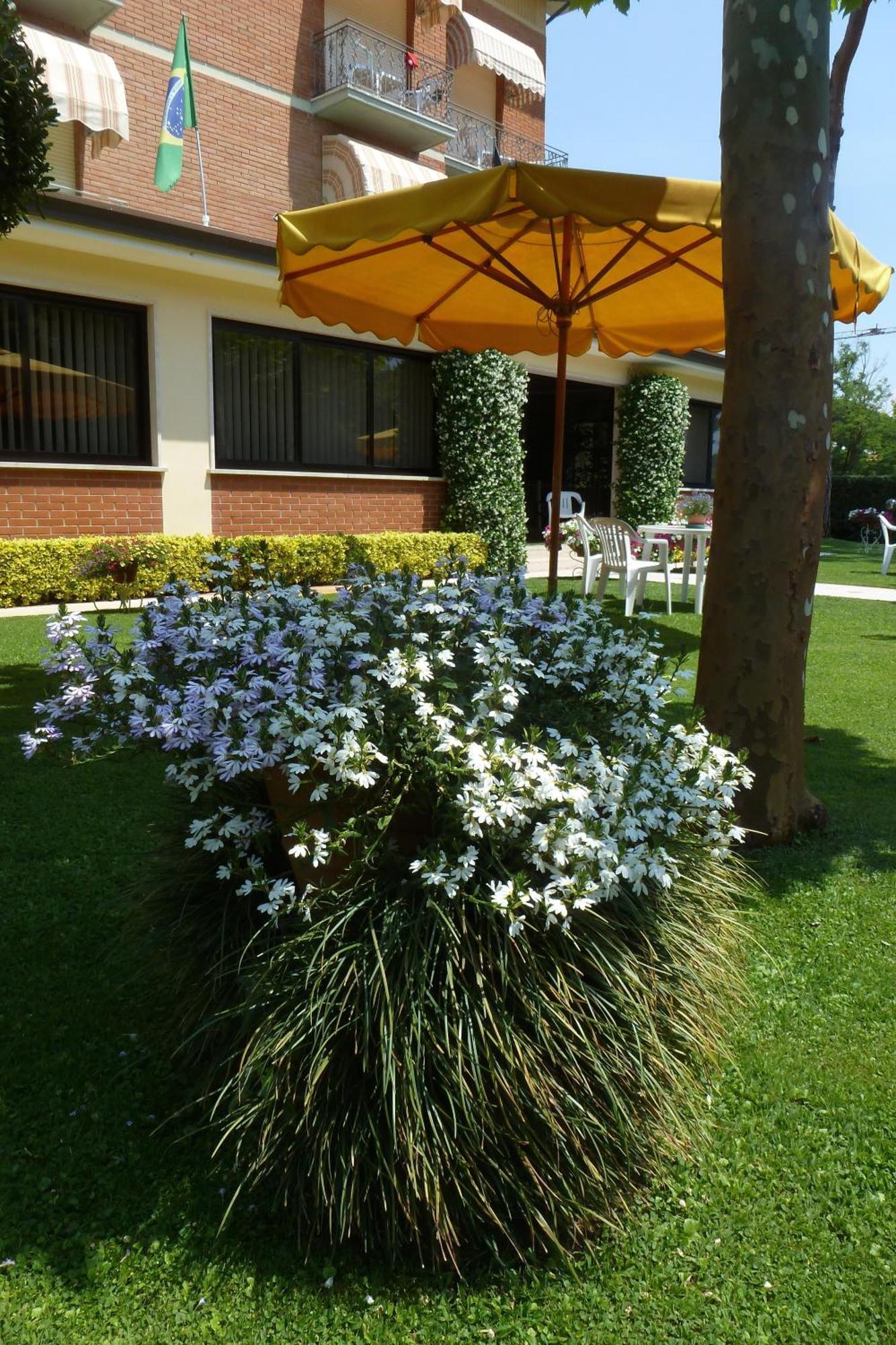 Hotel Versilia Lido di Camaiore Dış mekan fotoğraf