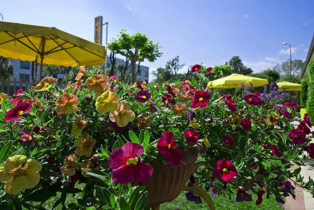 Hotel Versilia Lido di Camaiore Dış mekan fotoğraf