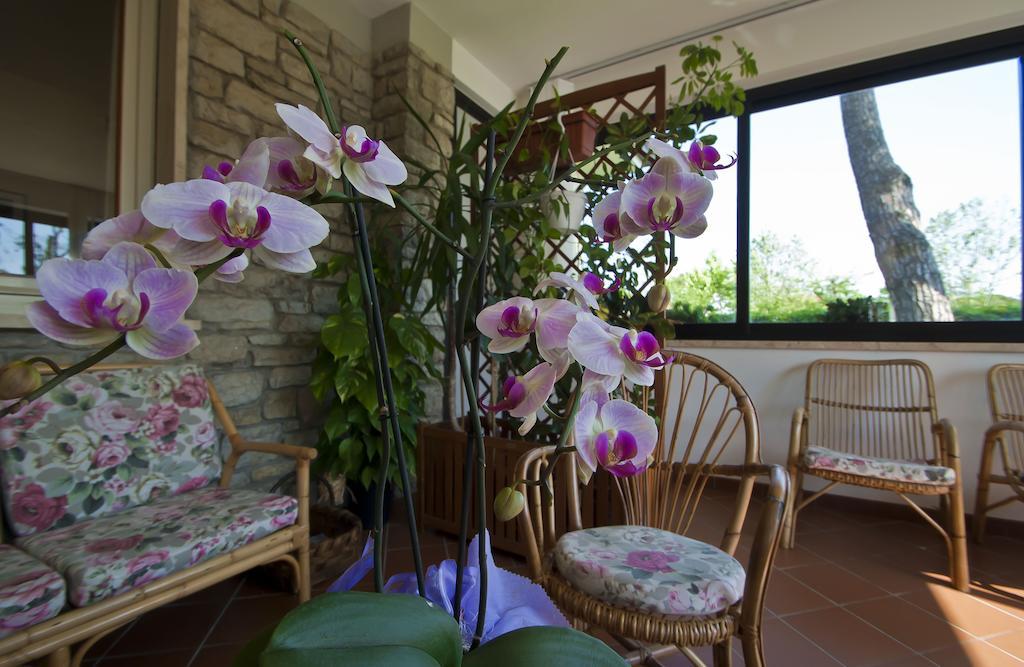 Hotel Versilia Lido di Camaiore Dış mekan fotoğraf